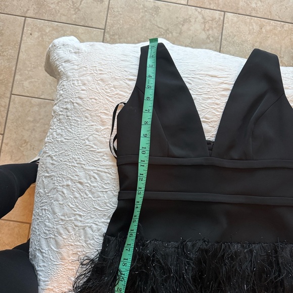 BCBGMaxAzria Black Feathered Gown - Picture 4 of 7